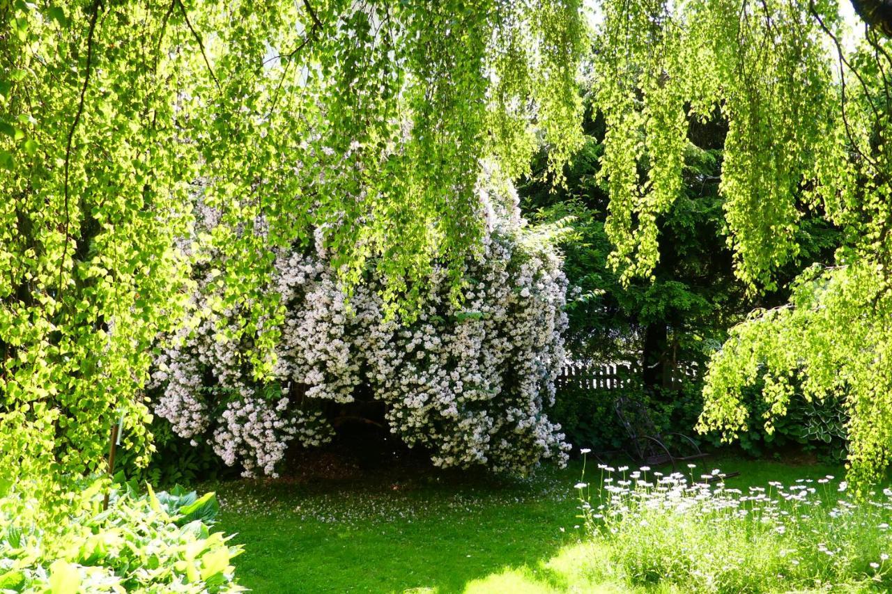Ferienwohnungen Familie Wetzlinger باد كلينكيرشهايم المظهر الخارجي الصورة